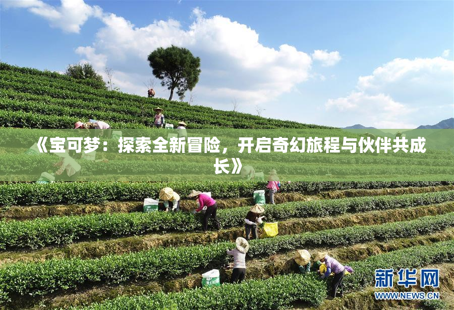 《宝可梦：探索全新冒险，开启奇幻旅程与伙伴共成长》
