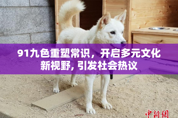 91九色重塑常识，开启多元文化新视野, 引发社会热议