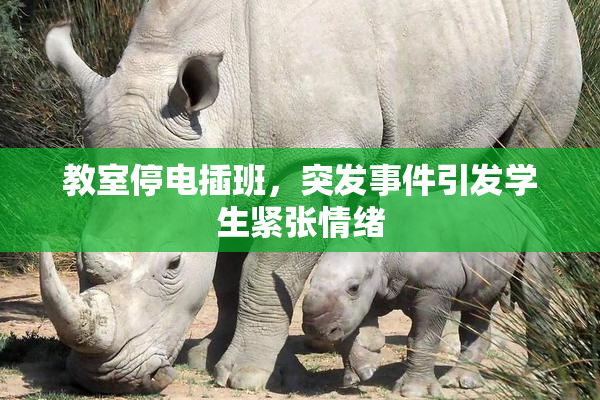 教室停电插班，突发事件引发学生紧张情绪