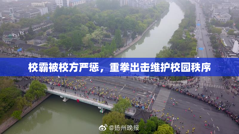 校霸被校方严惩，重拳出击维护校园秩序