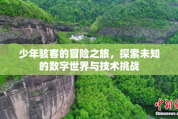 少年骇客的冒险之旅，探索未知的数字世界与技术挑战