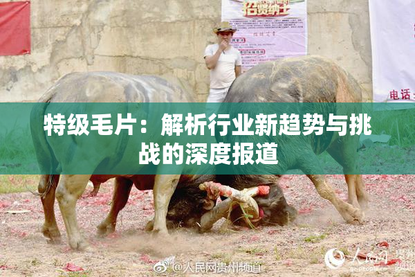 特级毛片：解析行业新趋势与挑战的深度报道