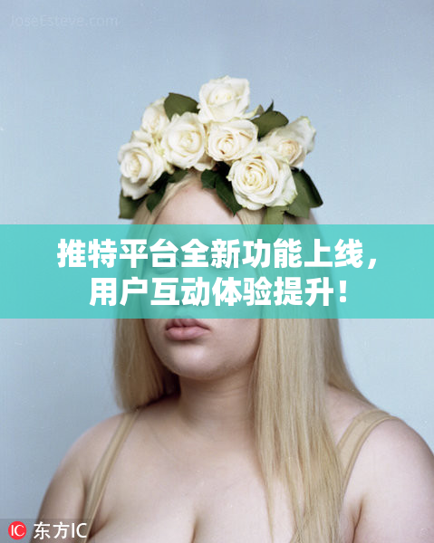 推特平台全新功能上线，用户互动体验提升！