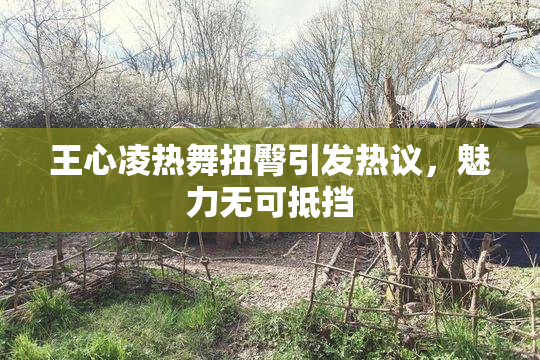 王心凌热舞扭臀引发热议，魅力无可抵挡
