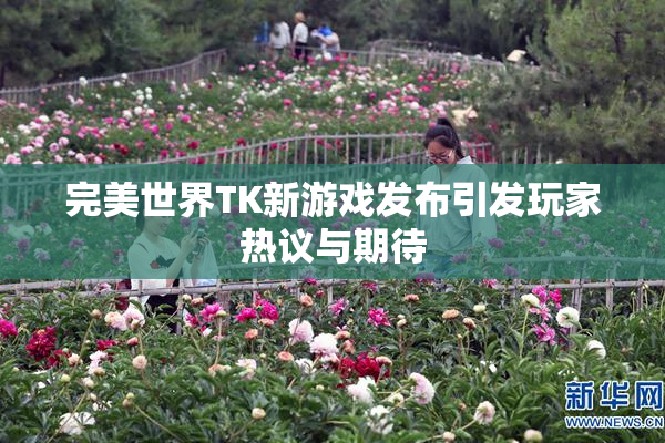 完美世界TK新游戏发布引发玩家热议与期待