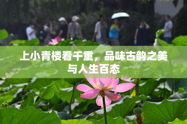 上小青楼看千重，品味古韵之美与人生百态
