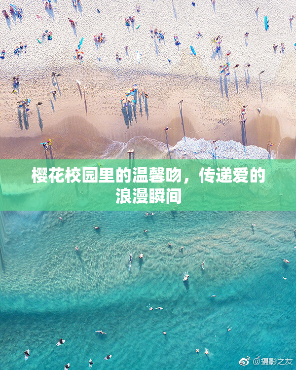 樱花校园里的温馨吻，传递爱的浪漫瞬间