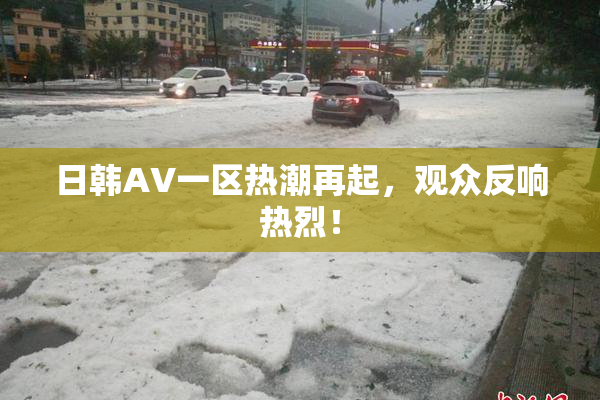 日韩AV一区热潮再起，观众反响热烈！
