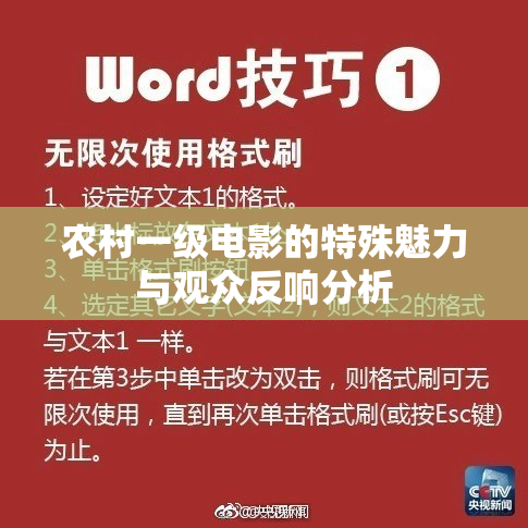 农村一级电影的特殊魅力与观众反响分析