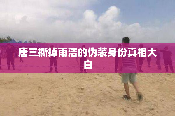 唐三撕掉雨浩的伪装身份真相大白