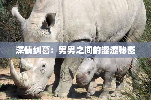 深情纠葛：男男之间的涩涩秘密