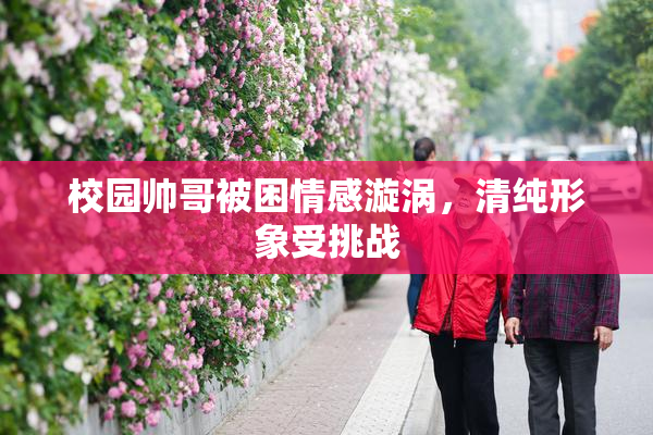 校园帅哥被困情感漩涡，清纯形象受挑战