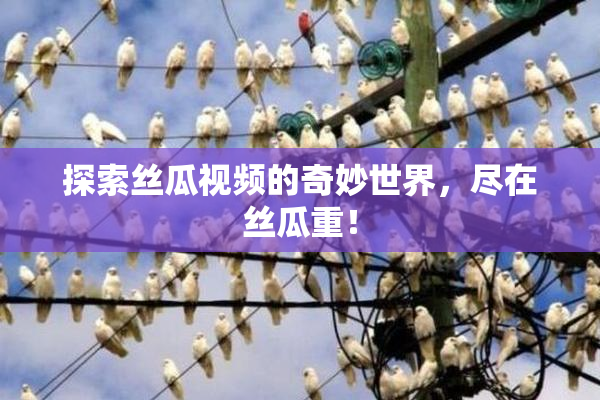 探索丝瓜视频的奇妙世界，尽在丝瓜重！