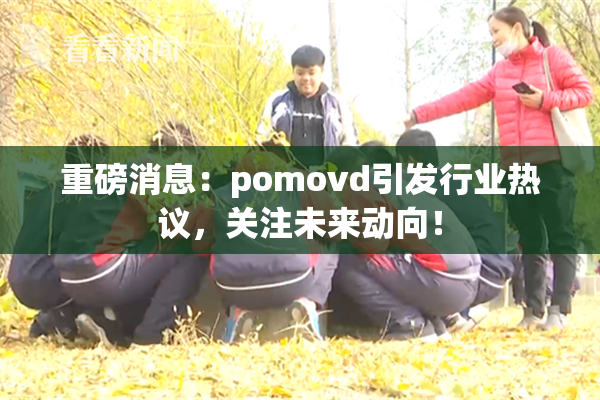 重磅消息：pomovd引发行业热议，关注未来动向！