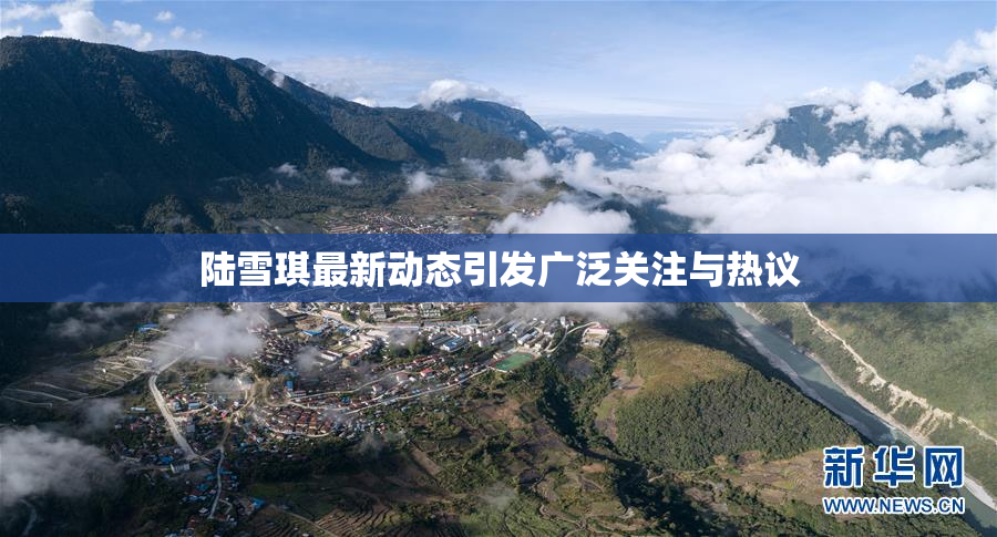 陆雪琪最新动态引发广泛关注与热议