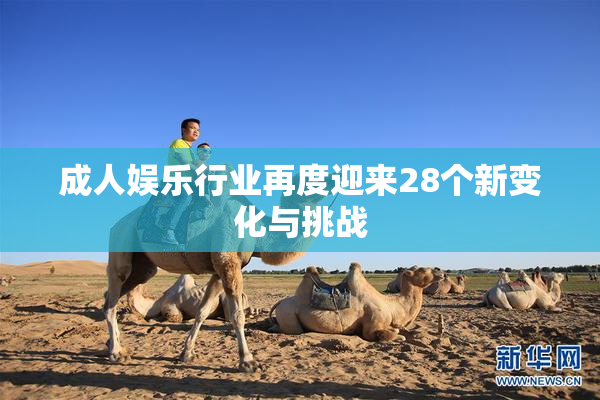 成人娱乐行业再度迎来28个新变化与挑战