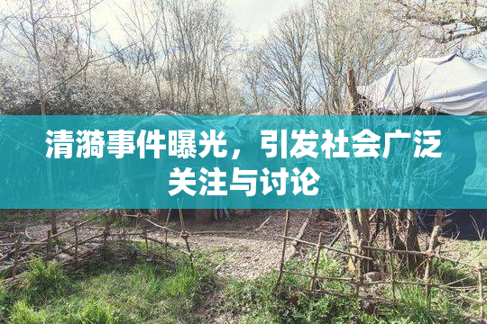 清漪事件曝光，引发社会广泛关注与讨论