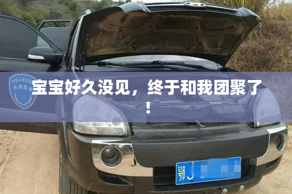 宝宝好久没见，终于和我团聚了！