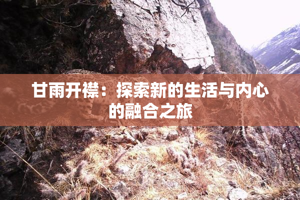甘雨开襟：探索新的生活与内心的融合之旅