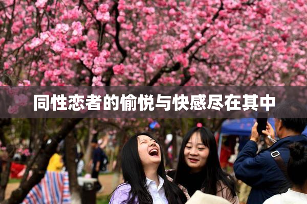 同性恋者的愉悦与快感尽在其中