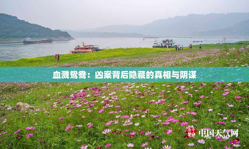血溅鸳鸯：凶案背后隐藏的真相与阴谋