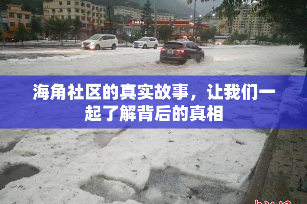海角社区的真实故事，让我们一起了解背后的真相