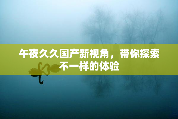 午夜久久国产新视角，带你探索不一样的体验