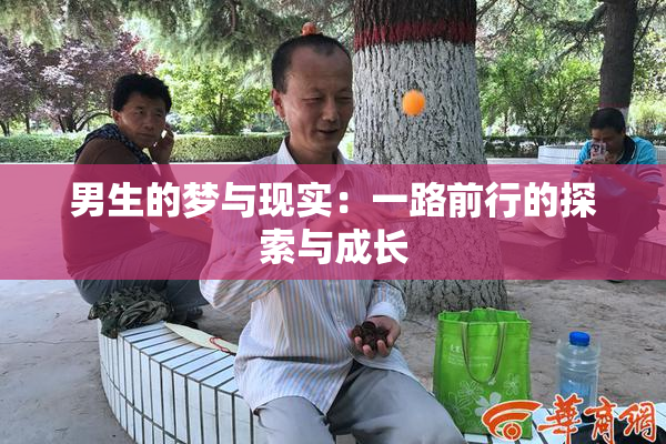 男生的梦与现实：一路前行的探索与成长