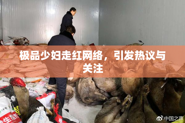 极品少妇走红网络，引发热议与关注
