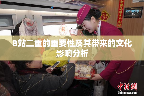 B站二重的重要性及其带来的文化影响分析