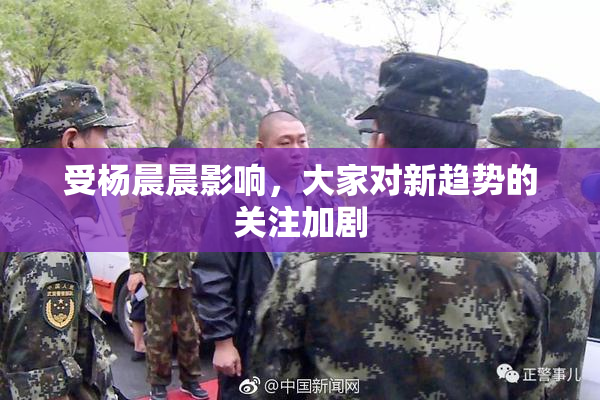 受杨晨晨影响，大家对新趋势的关注加剧
