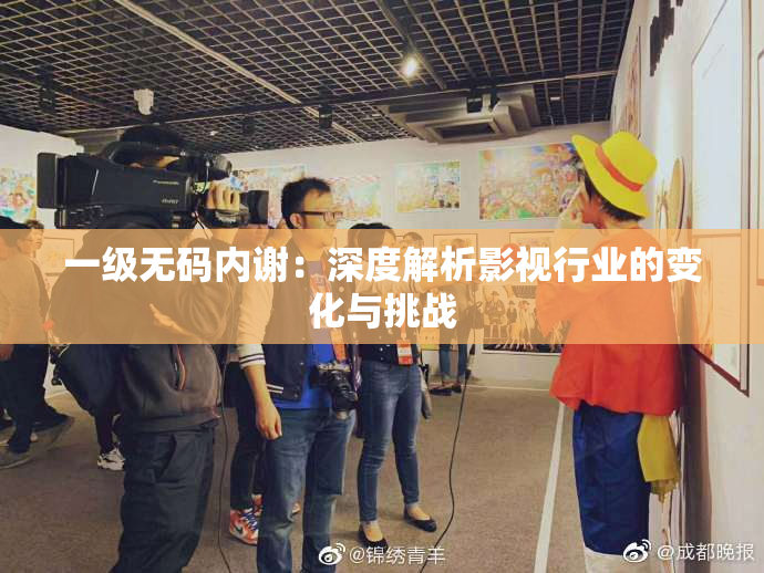 一级无码内谢：深度解析影视行业的变化与挑战