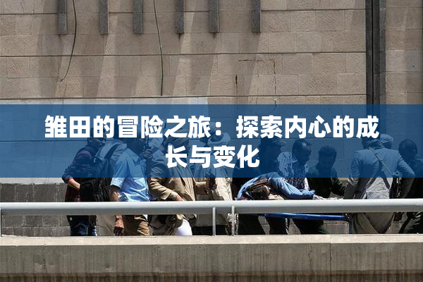 雏田的冒险之旅：探索内心的成长与变化