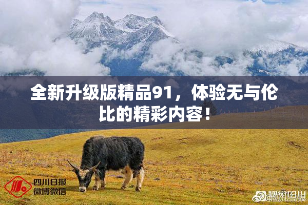 全新升级版精品91，体验无与伦比的精彩内容！