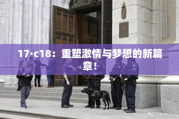 17·c18：重塑激情与梦想的新篇章！