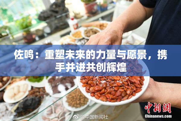佐鸣：重塑未来的力量与愿景，携手并进共创辉煌