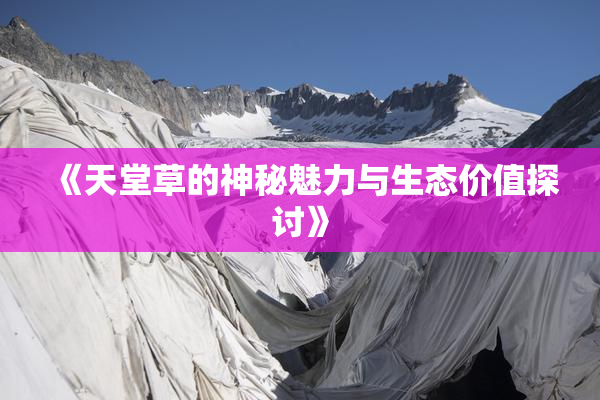 《天堂草的神秘魅力与生态价值探讨》
