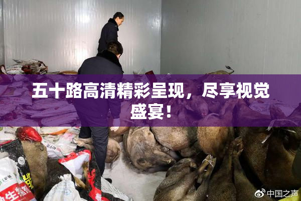 五十路高清精彩呈现，尽享视觉盛宴！
