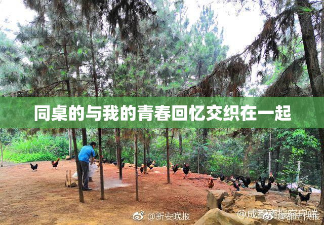 同桌的与我的青春回忆交织在一起