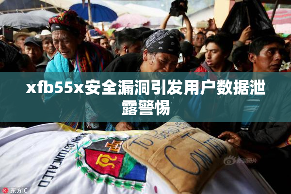 xfb55x安全漏洞引发用户数据泄露警惕