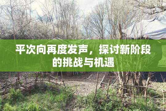 平次向再度发声，探讨新阶段的挑战与机遇