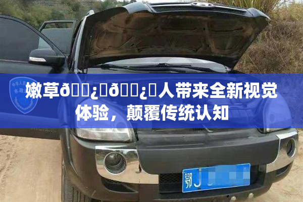 嫩草🌿‌🌿‌人带来全新视觉体验，颠覆传统认知