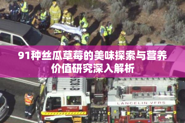 91种丝瓜草莓的美味探索与营养价值研究深入解析