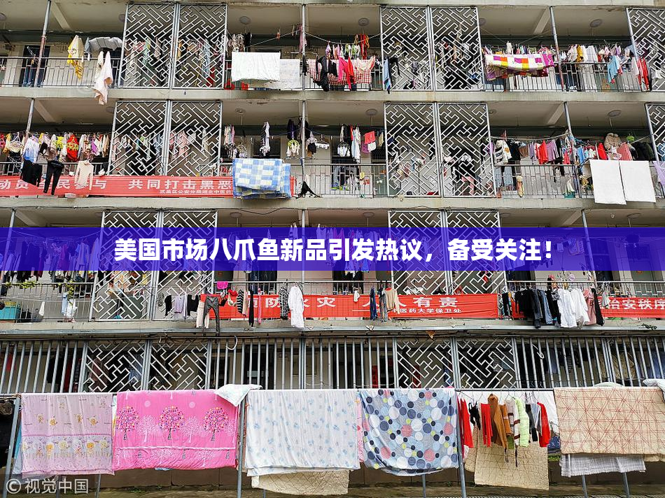 美国市场八爪鱼新品引发热议，备受关注！