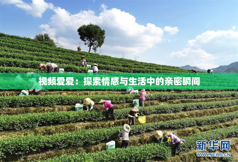 视频爱爱：探索情感与生活中的亲密瞬间
