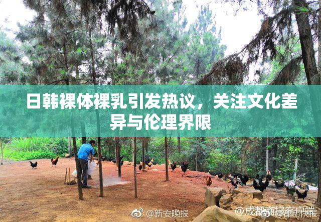 日韩裸体裸乳引发热议，关注文化差异与伦理界限