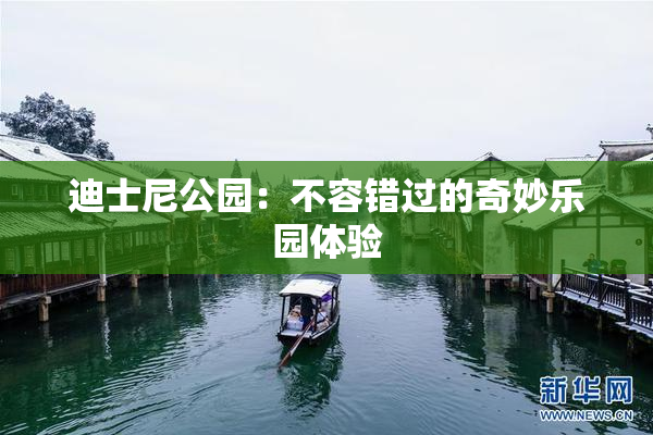 迪士尼公园：不容错过的奇妙乐园体验