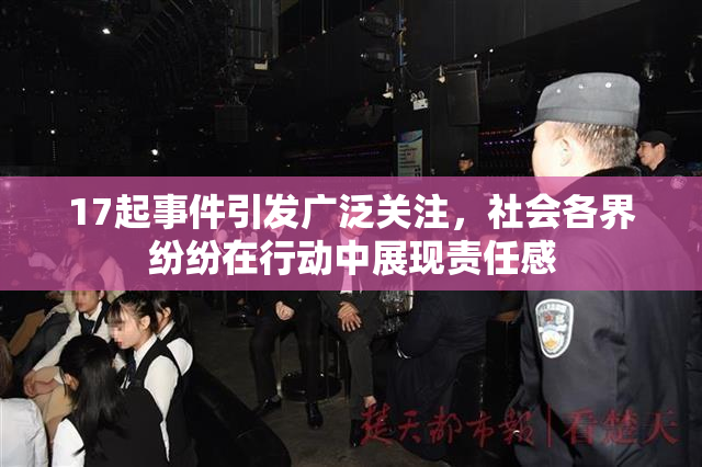 17起事件引发广泛关注，社会各界纷纷在行动中展现责任感