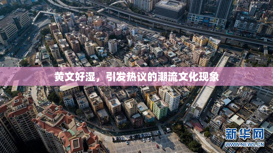 黄文好湿，引发热议的潮流文化现象
