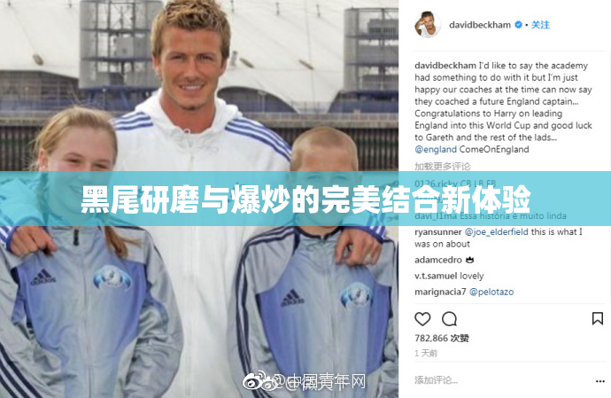 黑尾研磨与爆炒的完美结合新体验